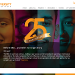 Media Diversity Institute